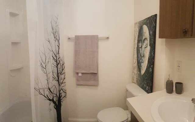 Stylish Apartment, One Bedroom, Parking, Near Everything