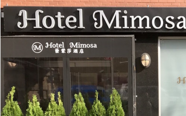 Hotel Mimosa