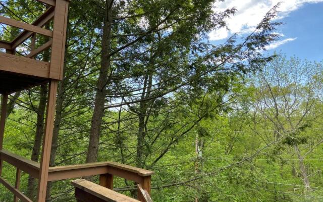 Saw Creek Cabin - Regent Hilltop
