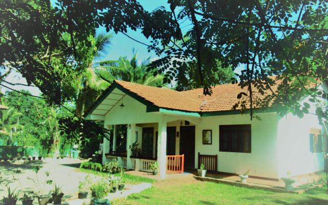 Green herbal Ayurvedic Eco-Lodge