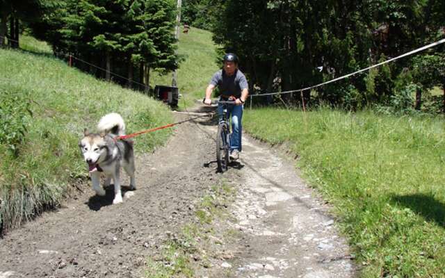 Les Chalets Autrichiens