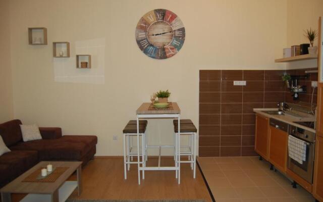 Central Luxury Residence