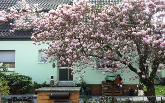 Ferienwohnung Im Grünen Haus