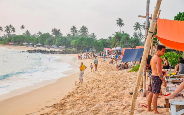 New Surf Paradise Bungalow