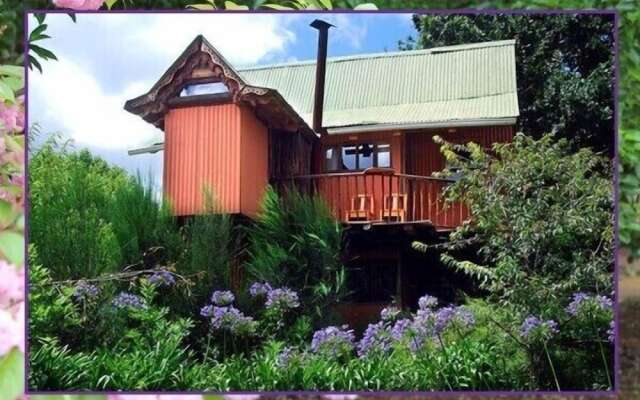 Sycamore Avenue Treehouses