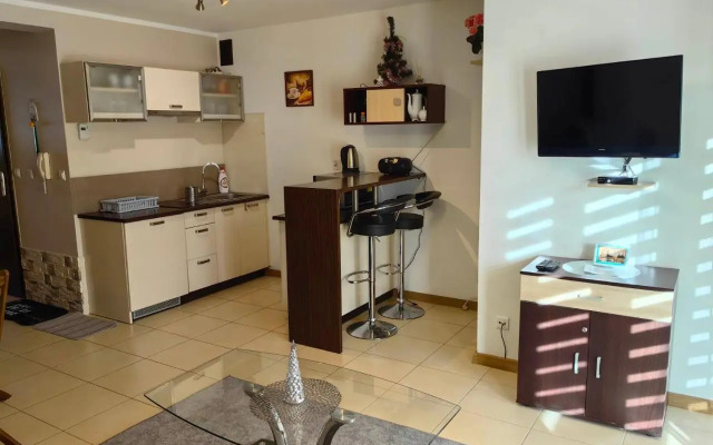 Sentymentalne Kościelisko Apartament & SPA