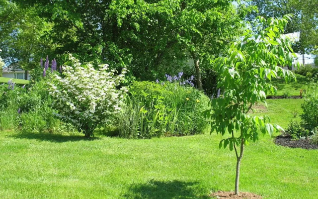 The Nelson House Bed & Breakfast