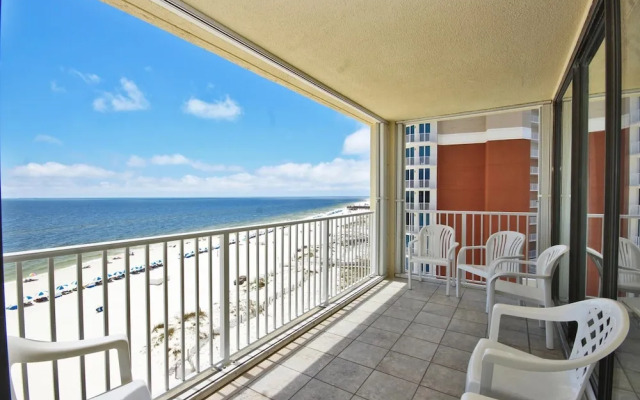 Whaler by Youngs Suncoast