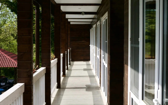 Lion(Алахадзы)