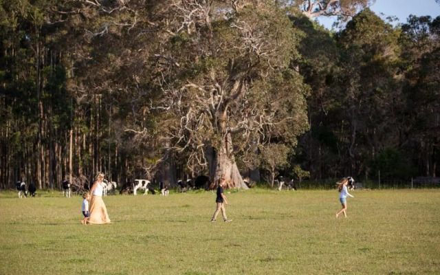 Redgate Forest Retreat