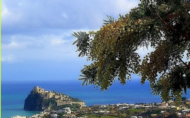 Villa La Favola Suite Ischia Terrace With View