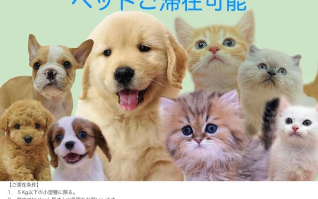 코티지 사진 4