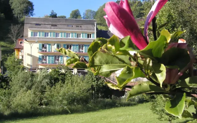 Hotel Restaurant Aux Bruyères