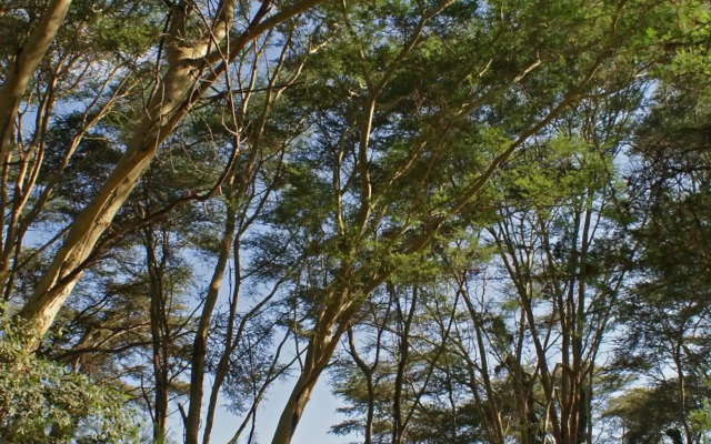 Migunga Tented Camp