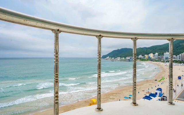 Busan Songjeong Sloth