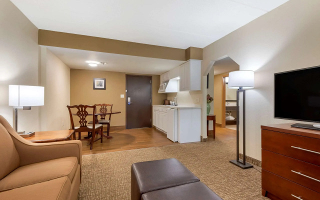 Comfort Inn Binghamton I-81