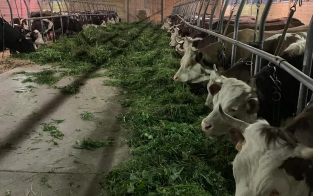 Agriturismo La Grange