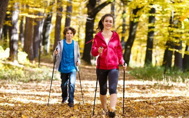 Z-Hotel Business & Spa