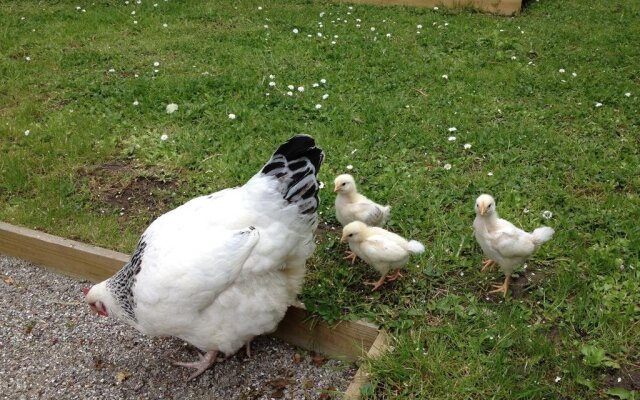 Kildegaarden Bed & Breakfast