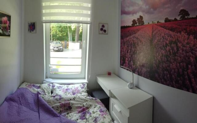 Bajkowa Plaża - Muszelka