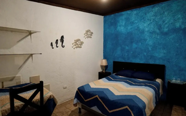 Wonderland Hostel
