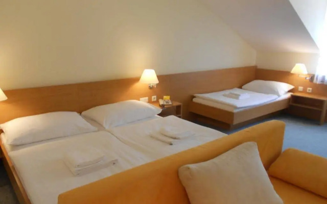 Hotel Vicedom
