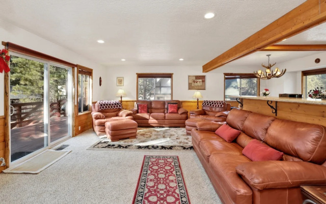 Mockingbird in Moonlight #2527