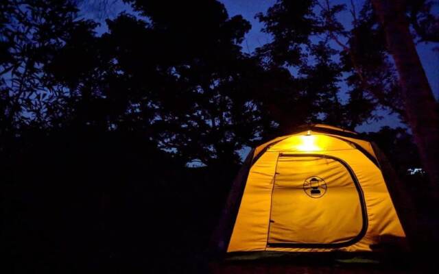 Okinawa BBQ Beer Garden & Campsite