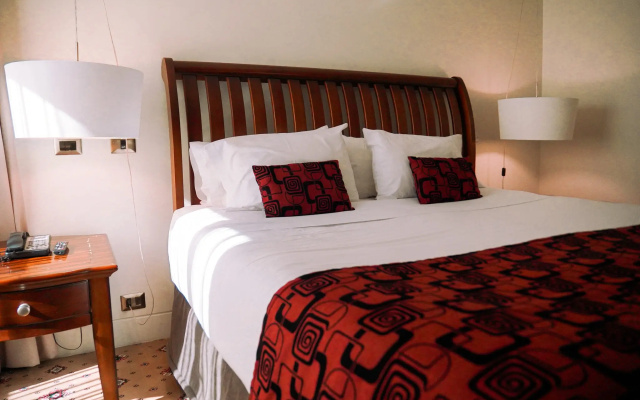 Hotel Torremayor Lyon