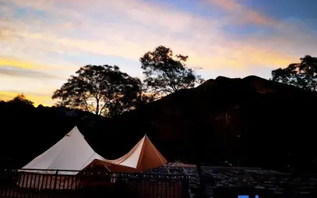 Three Houses and One Cat B&B