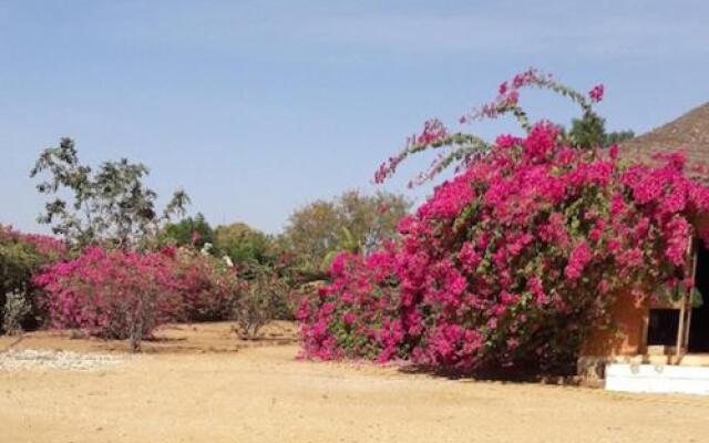 Baobab Lodge