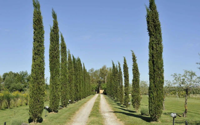 Agriturismo La Lodola