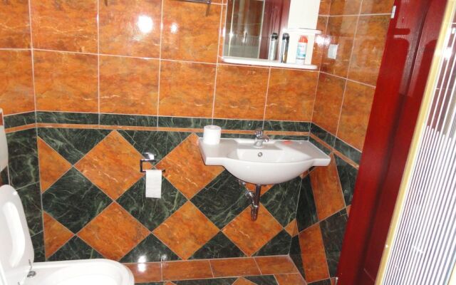 Apartment Pucurica II