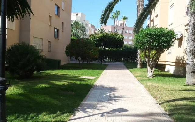Palmeral de Torrevieja
