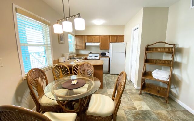 Nautical Watch by Liberté