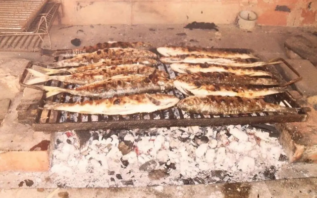 Mario - With Garden - A1