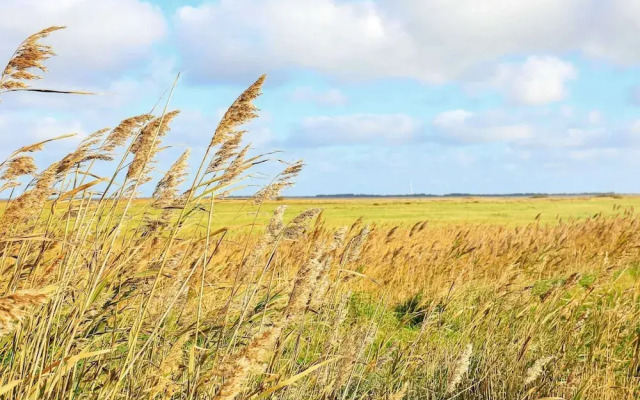 8 Person Holiday Home in Ulfborg-by Traum