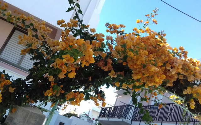 Kardamena Holiday Apartments