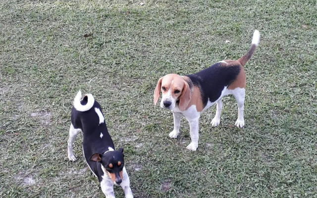 Pousada Sitio Parque dos Lençóis