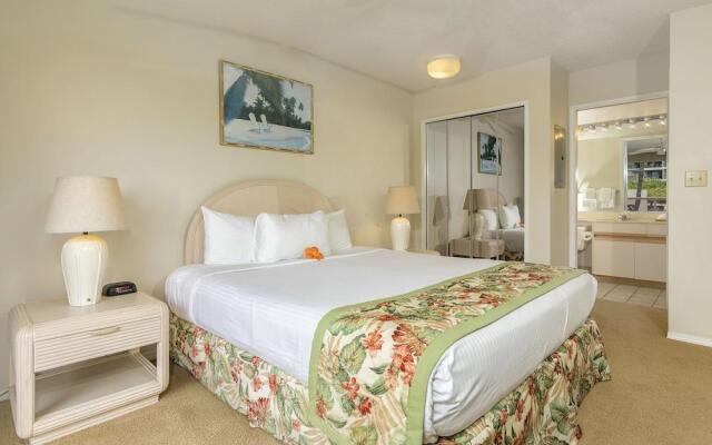 Maui Banyan Basic by AEI