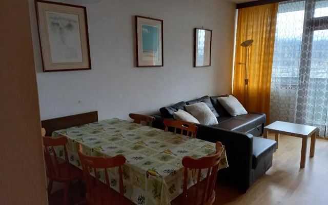 Panoramis apartment in Schladming