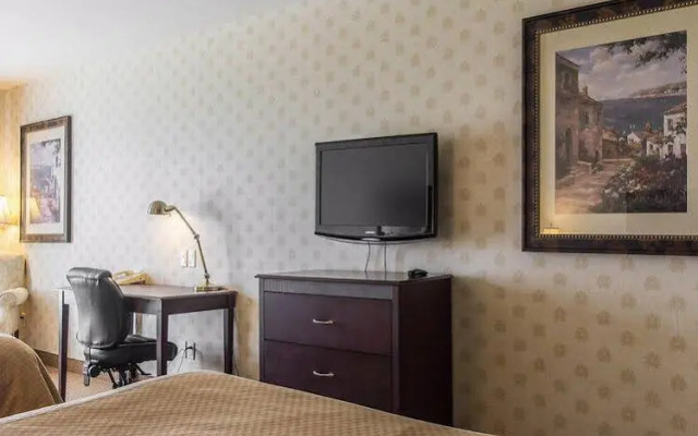 Comfort Inn & Suites