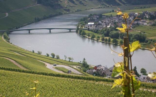 in Landhuisstijl met Uitzicht op de Moezel