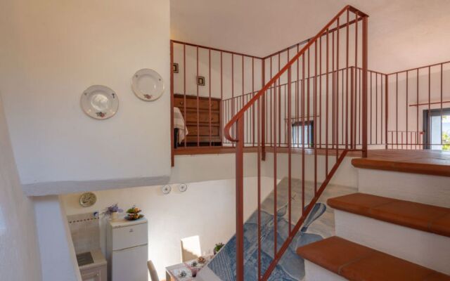 Maria Luisa (DOL286)