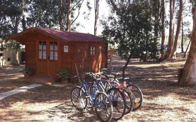 Casa Vacanze La Sainella