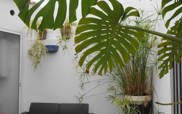 Apartamentos IMPLUVIUM plaza del Parador