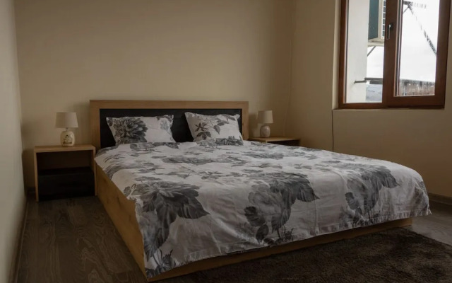 Guest house Viki