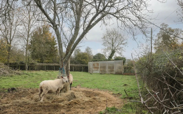 Palmers Green Cottage