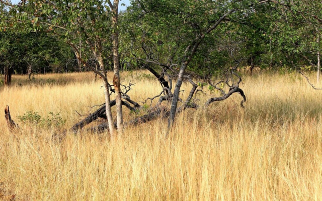 K.Raj Tiger Resort