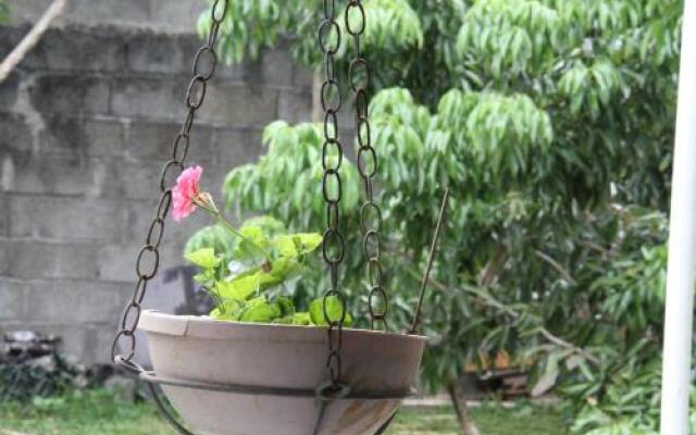 Cocoholidays Bed and Breakfast